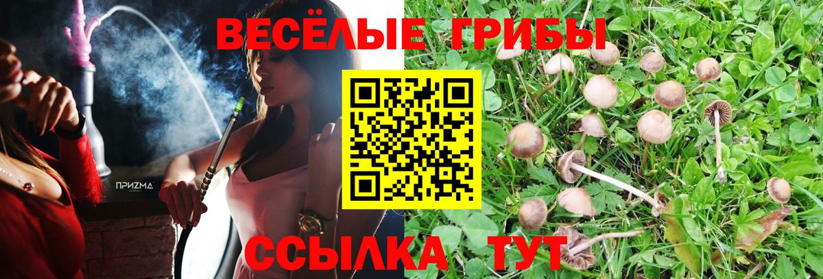 Галлюциногенные грибы прущие грибы Ликино-Дулёво